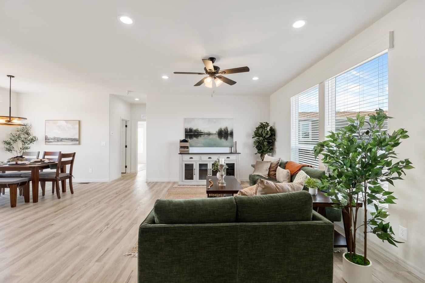 Foyer and living room interior